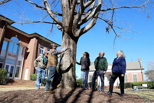 From left, Dr. Elizabeth Appleby, Dr. Mark Yates, Alexis Simmons, Michael Coniglio and Sam Breyfogle check out the Murphy Oak on the Academic Quad.