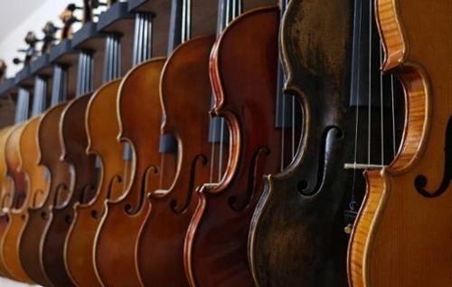 Violins