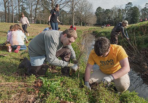 Two students huddle on stream bank and prepare to plant a pollinator-friendly grass along Park Creek.