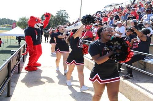 Cheerleaders hype up crowd at football game