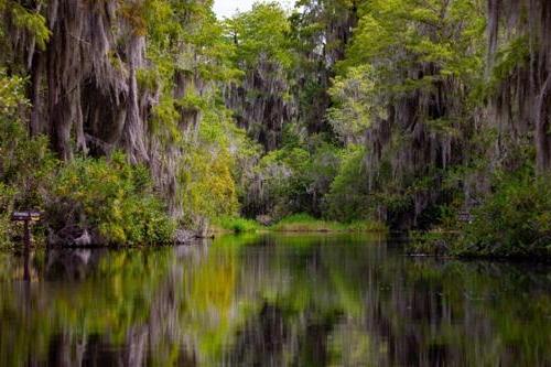 Natural waterway in Georgia